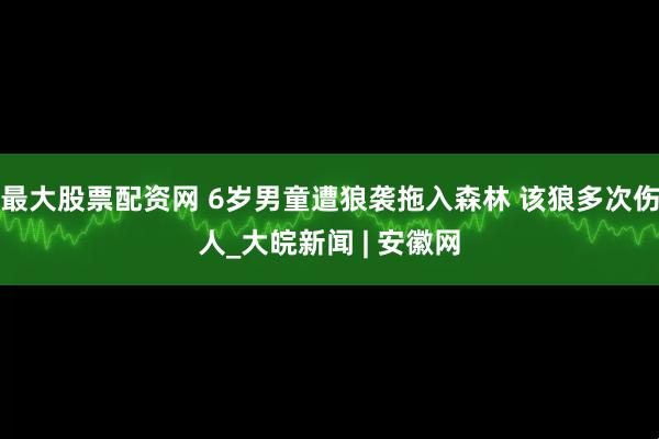 最大股票配资网 6岁男童遭狼袭拖入森林 该狼多次伤人_大皖新闻 | 安徽网